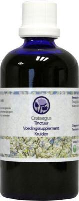 Nagel Crataegus tinctuur