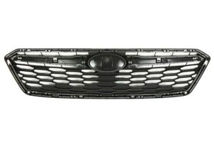 Radiateurgrille 6502076747990P