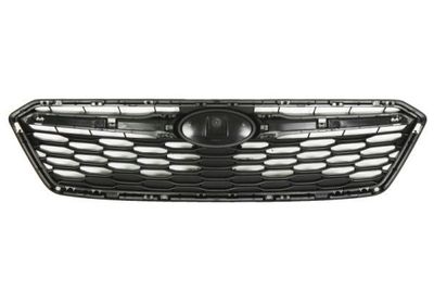 Radiateurgrille 6502076747990P