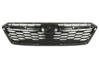 Radiateurgrille 6502076747990P