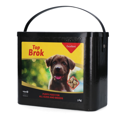 Topbrok Excellent Puppy
