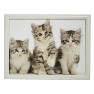 Set van 2 schootkussens/laptrays 3 katten/poezen kittens print 43 x 32 cm