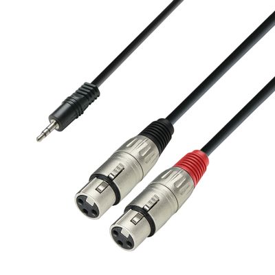 Adam Hall 3 Star YWFF 0600 3,5mm mini-jack naar 2x XLR female kabel 6m