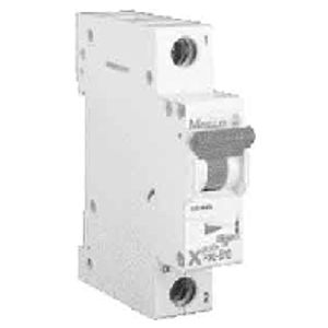 PXL-D20/1  - Miniature circuit breaker 1-p D20A PXL-D20/1