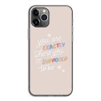 Right Place: iPhone 11 Pro Transparant Hoesje