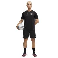 PUMA Manchester City Trainingsset 2025-2026 Zwart Zilver