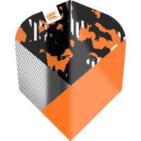 Target Ultra Icon Raymond van Barneveld Gold No.6