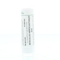 Homeoden Heel Aesculus hippocastanum D12 6 Gram