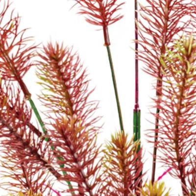 Sf art plant 40 cm myriophyllum red - Superfish
