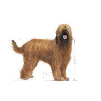Royal Canin Maxi Dental Care 9 kg Volwassen Maïs, Gevogelte, Rijst, Groente - thumbnail