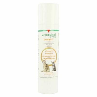 Enisyl F Orale Pasta Kat 100ml