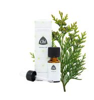 Thuja wild - thumbnail