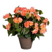 Mica Decorations Begonia Kunstplant - H37 x Ø36 cm - Zalmroze