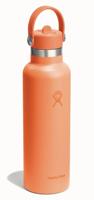 Hydro Flask 21 Oz Standard Flex Straw Cap Thermosfles Nectar 621 ml