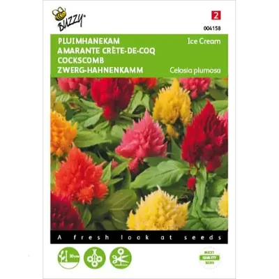 Celosia, Pluimhanekam Ice Cream gemengd