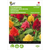Celosia, Pluimhanekam Ice Cream gemengd Celosia, Pluimhanekam Ice Cream gemengd