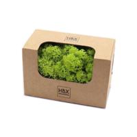 Basic Rendier Mos 50gr groen Basic Rendier Mos 50gr groen