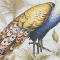 Sierkussen ca. 50x50 cm Flore purple (4 stuks) Madison - Madison