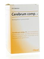 Cerebrum compositum H