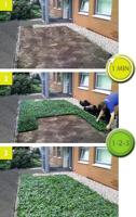 Plantenmat vasteplanten Vetkruid Sedum prijs per 1m2 cm Covergreen - Covergreen