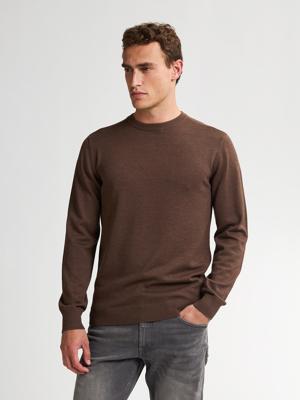 Petrol Knitwear Round Neck Basic M-ros-kwr201 Trui 7144 Mud