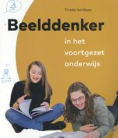 Beelddenker in het voortgezet onderwijs (Paperback)