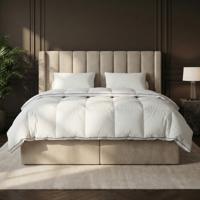 Dekbed 3D Air Deluxe Dons - All Season - 200x220 Cm (Tweepersoons) - Cloud Nine 300 Gram Per M² (200 Gr + 100 Gr) - Dekbed-Discounter.nl