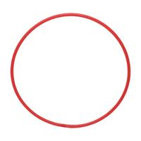 RHYTHMIC GYMNASTICS HOOP ADULTS