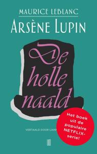 De Holle Naald (Paperback)
