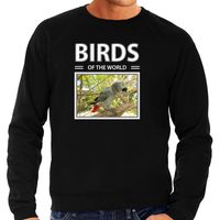 Papegaaien sweater / trui met dieren foto birds of the world zwart voor heren - thumbnail