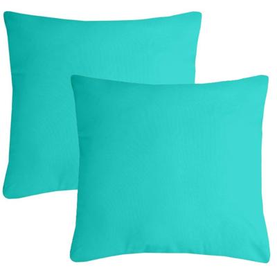 Stof Textile sierkussen Nelson - 2x - aqua blauw - 60 x 60 cm - bank kussens - polyester