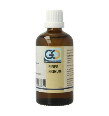 Ribes nigrum bio