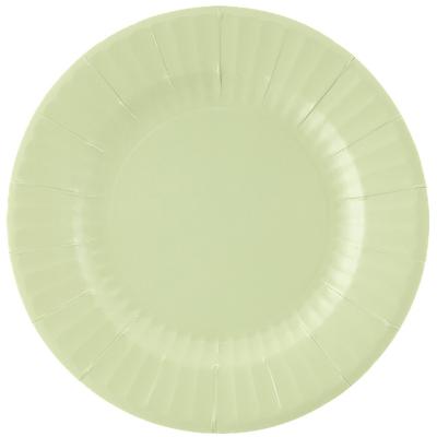 Feestbordjes/BBQ bordjes - 8x - mintgroen - rond - papier/karton - 27cm