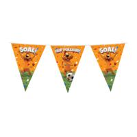 Loeki - Partyvlaggenlijn Oranje 10m