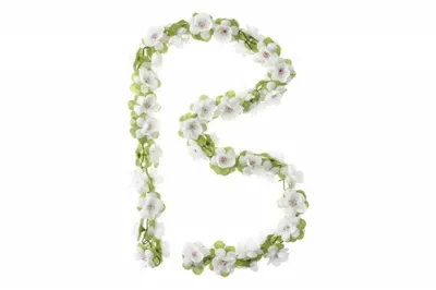 Bloemenstreng Basil Wit