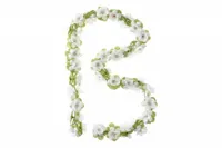 Bloemenstreng Basil Wit