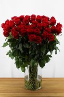 Red Eagle - Rode Rozen - 50 stuks