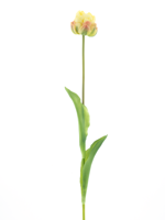 PSO Tulip spray Paris Sally lt yellow 79 cm kunstbloem - Nova nature