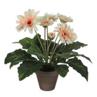 Mica Decorations Kunstplant - gerbera - creme - in pot - 35 cm - thumbnail