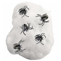 Horror/Halloween griezel spinnetjes met spinnen rag - 10x - kunststof - zwart - 3 cm