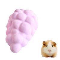Huisdier Fruit Type Calcium stenen Hamsters konijnen kleine huisdieren tandenknarsen stenen huisdieren opleiding Tools(Purple)