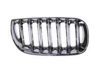 Radiateurgrille 6502070093994P