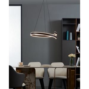 EGLO Andabaia-Z hangende plafondverlichting Flexibele montage 42,5 W Zwart