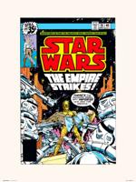 Kunstdruk Star Wars 18 The Empire Strikes 30x40cm