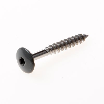 Kleurkopschroef rvs dgrijs r.7012 4,8x38 t20