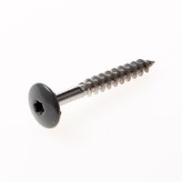 Kleurkopschroef rvs dgrijs r.7012 4,8x38 t20