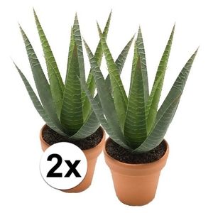 2x Kunstplant aloe vera groen in terracotta pot 23 cm