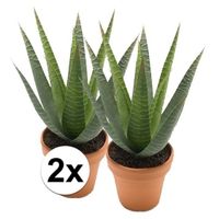 2x Kunstplant aloe vera groen in terracotta pot 23 cm - thumbnail