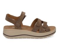 Hartjes Woogie 132.2004 stone Beige maat 36