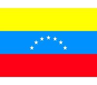 10x Stickertjes Venezuela vlag 10 cm   -